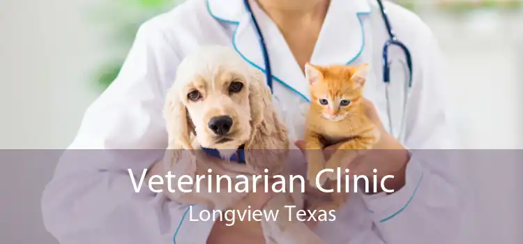 Veterinarian Clinic Longview Texas