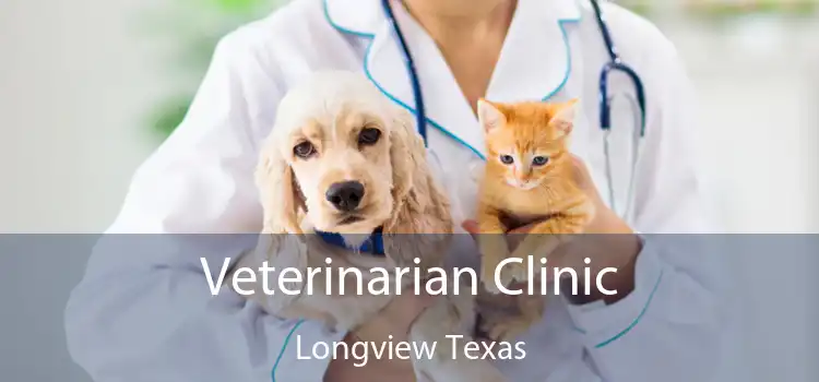Veterinarian Clinic Longview Texas