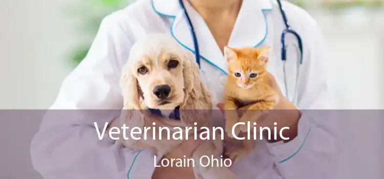 Veterinarian Clinic Lorain Ohio