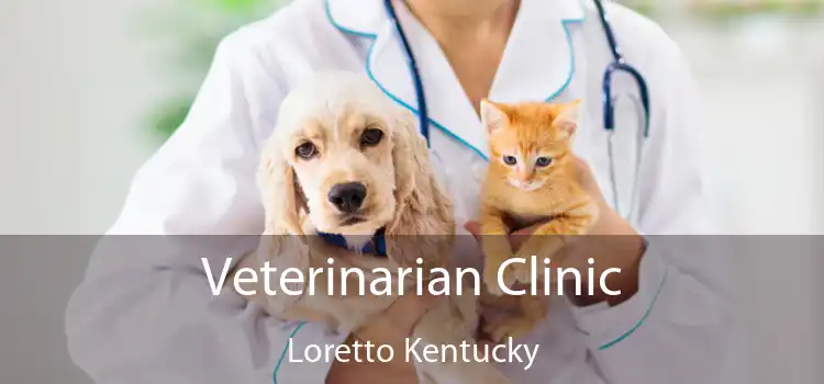 Veterinarian Clinic Loretto Kentucky