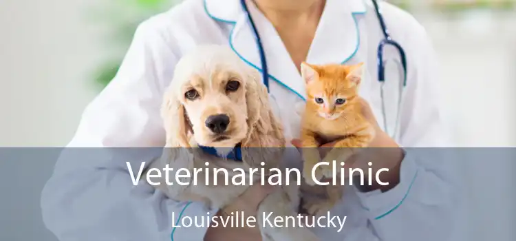 Veterinarian Clinic Louisville Kentucky