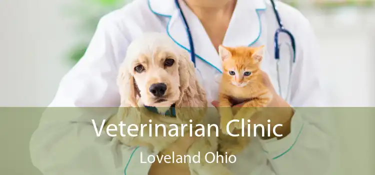 Veterinarian Clinic Loveland Ohio