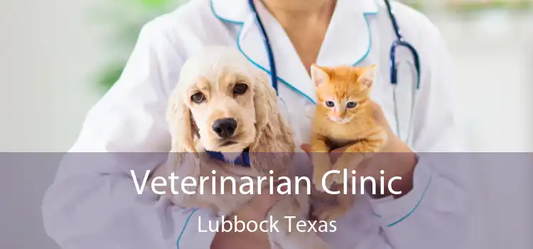 Veterinarian Clinic Lubbock Texas