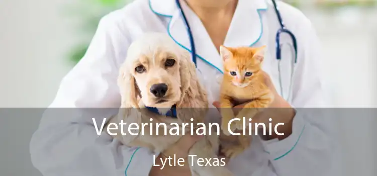 Veterinarian Clinic Lytle Texas