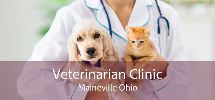 Veterinarian Clinic Maineville Ohio