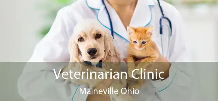 Veterinarian Clinic Maineville Ohio