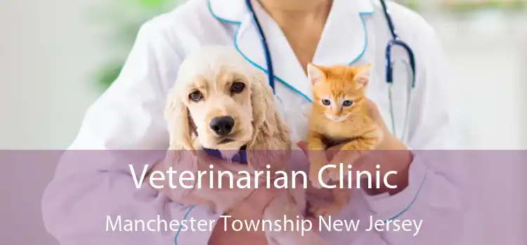 Veterinarian Clinic Manchester Township New Jersey