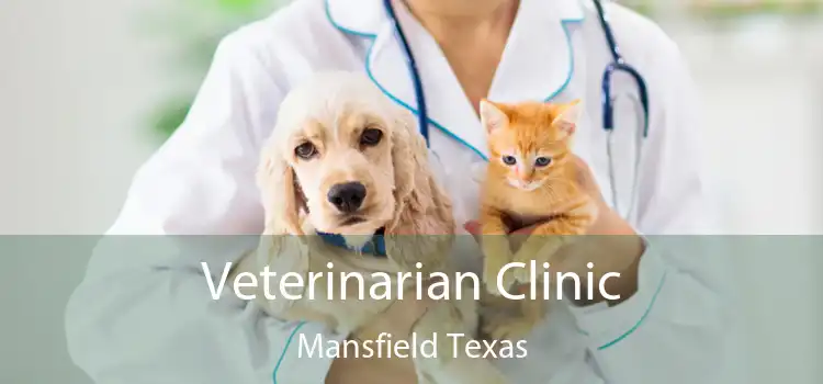 Veterinarian Clinic Mansfield Texas