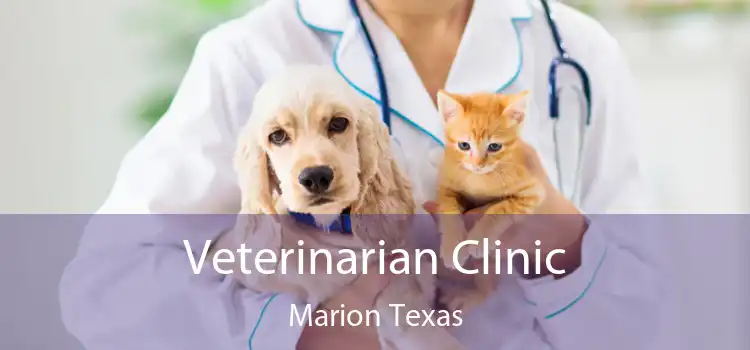 Veterinarian Clinic Marion Texas