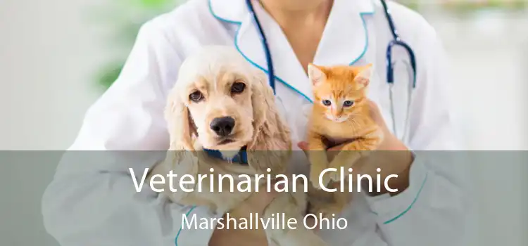 Veterinarian Clinic Marshallville Ohio