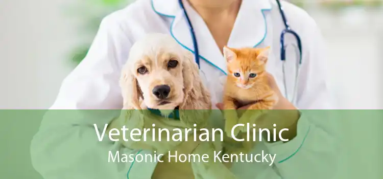 Veterinarian Clinic Masonic Home Kentucky