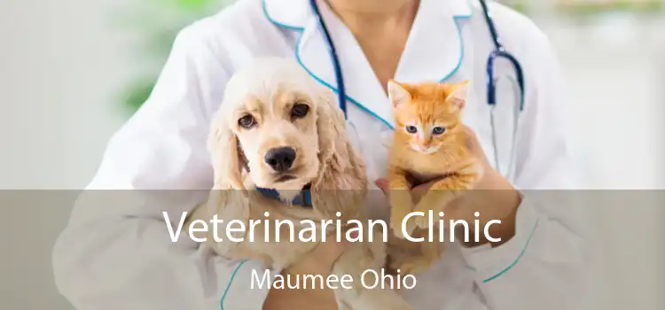 Veterinarian Clinic Maumee Ohio