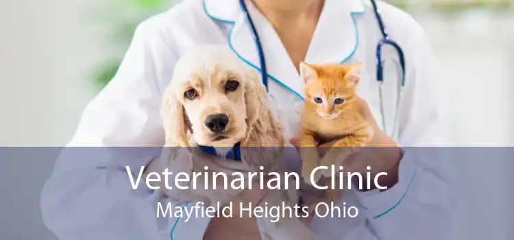 Veterinarian Clinic Mayfield Heights Ohio