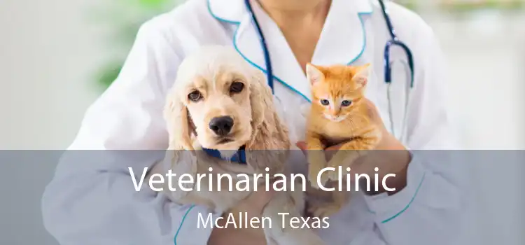 Veterinarian Clinic McAllen Texas