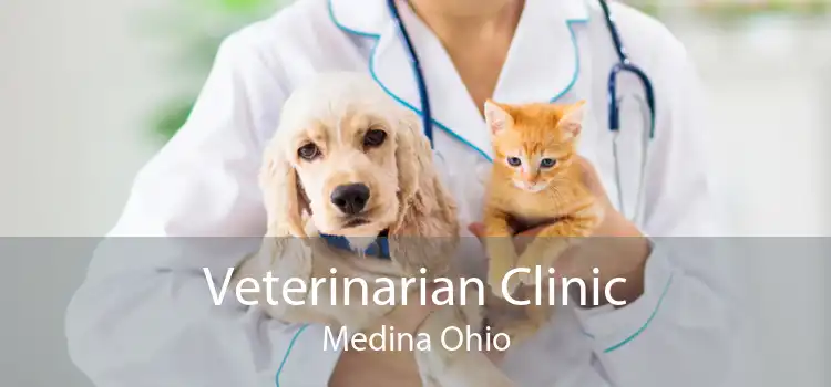 Veterinarian Clinic Medina Ohio
