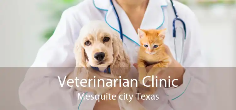 Veterinarian Clinic Mesquite city Texas