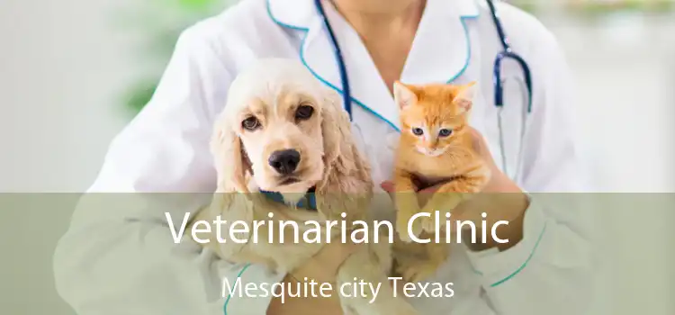 Veterinarian Clinic Mesquite city Texas