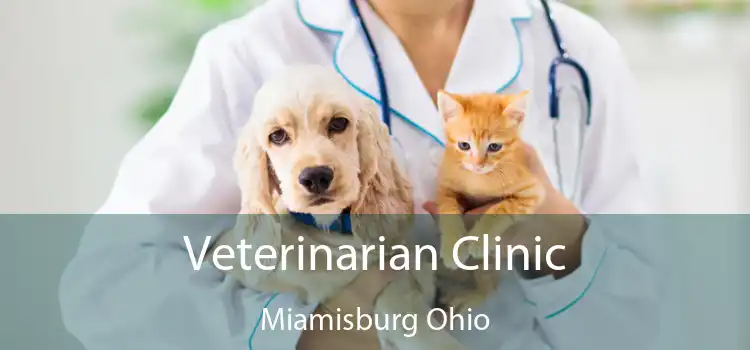 Veterinarian Clinic Miamisburg Ohio