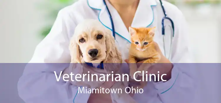 Veterinarian Clinic Miamitown Ohio