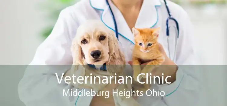 Veterinarian Clinic Middleburg Heights Ohio