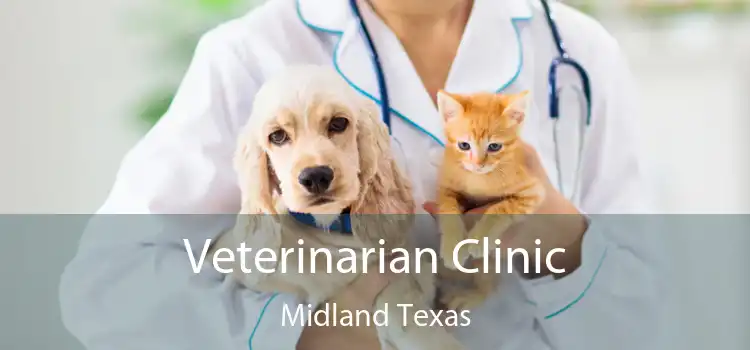 Veterinarian Clinic Midland Texas