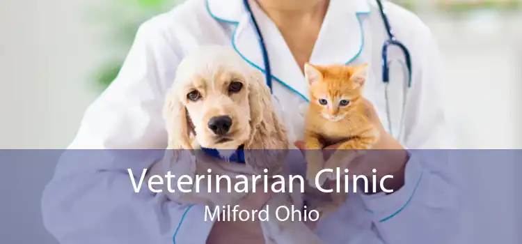 Veterinarian Clinic Milford Ohio