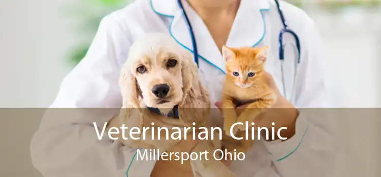 Veterinarian Clinic Millersport Ohio