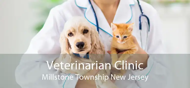 Veterinarian Clinic Millstone Township New Jersey