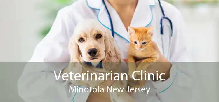 Veterinarian Clinic Minotola New Jersey