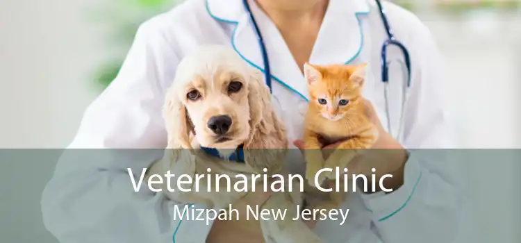 Veterinarian Clinic Mizpah New Jersey