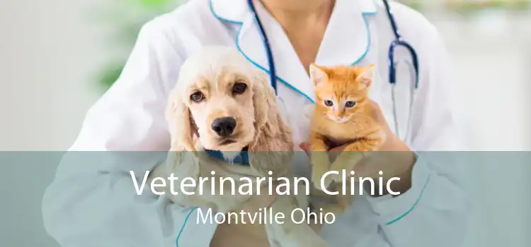 Veterinarian Clinic Montville Ohio
