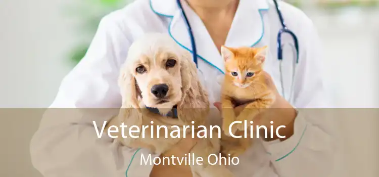Veterinarian Clinic Montville Ohio