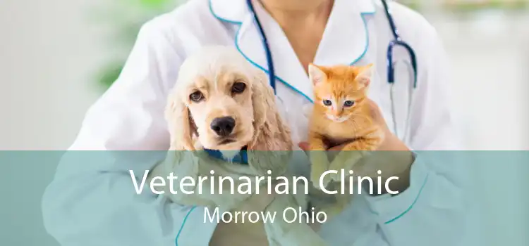 Veterinarian Clinic Morrow Ohio