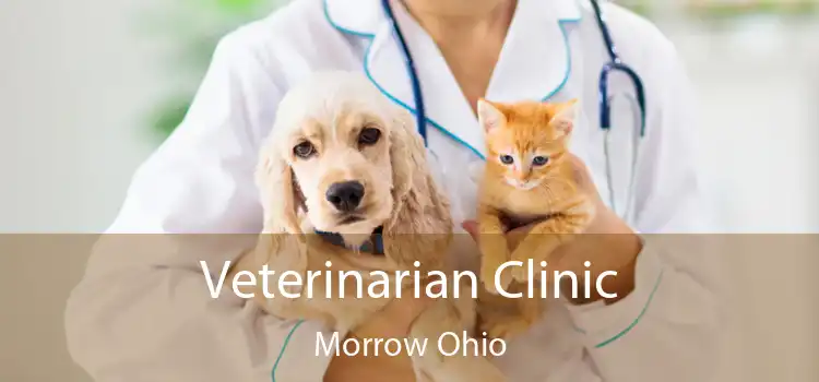 Veterinarian Clinic Morrow Ohio