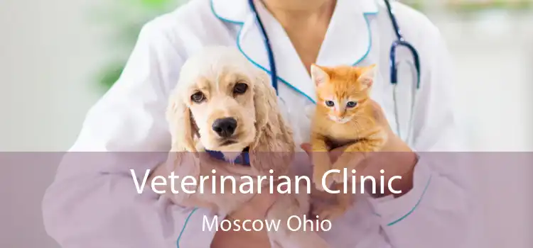 Veterinarian Clinic Moscow Ohio