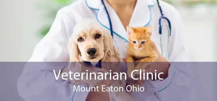 Veterinarian Clinic Mount Eaton Ohio