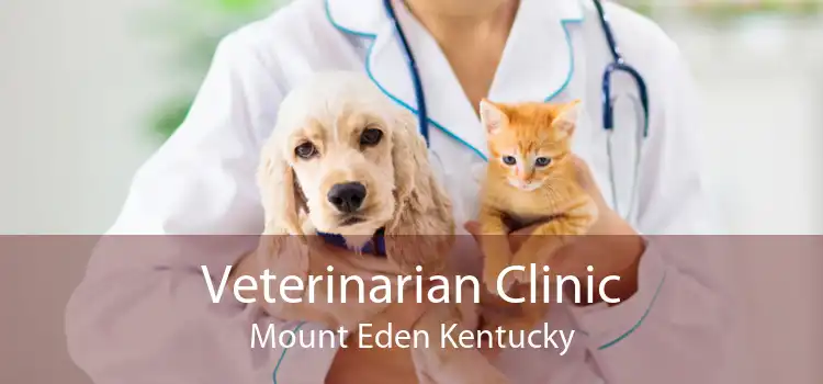 Veterinarian Clinic Mount Eden Kentucky