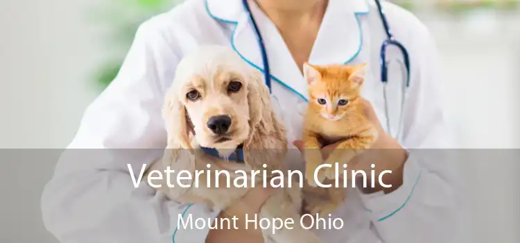 Veterinarian Clinic Mount Hope Ohio