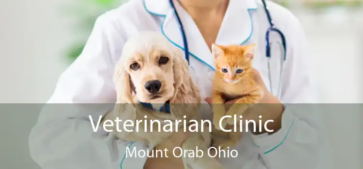 Veterinarian Clinic Mount Orab Ohio