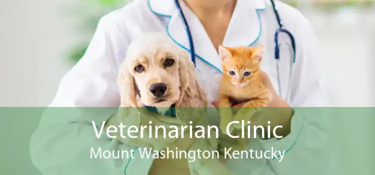 Veterinarian Clinic Mount Washington Kentucky