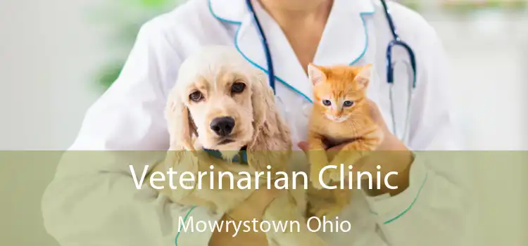 Veterinarian Clinic Mowrystown Ohio