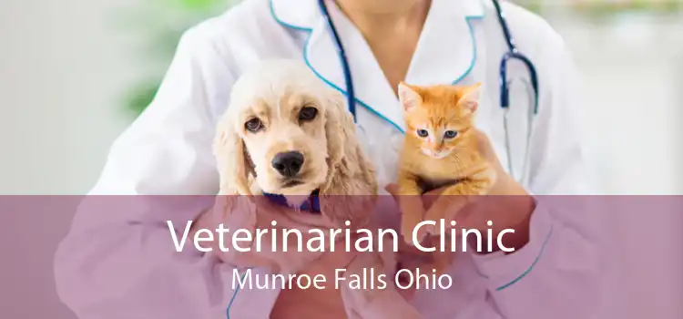Veterinarian Clinic Munroe Falls Ohio