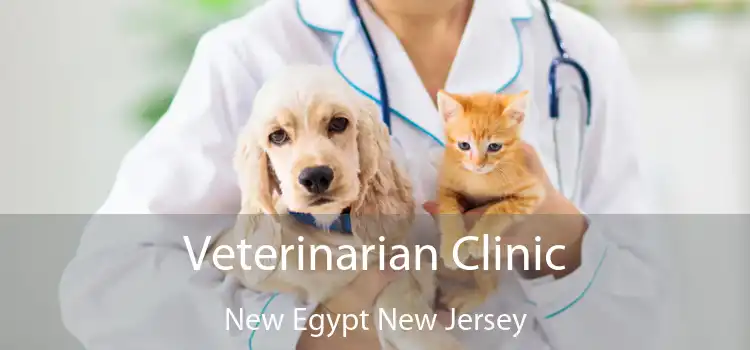 Veterinarian Clinic New Egypt New Jersey