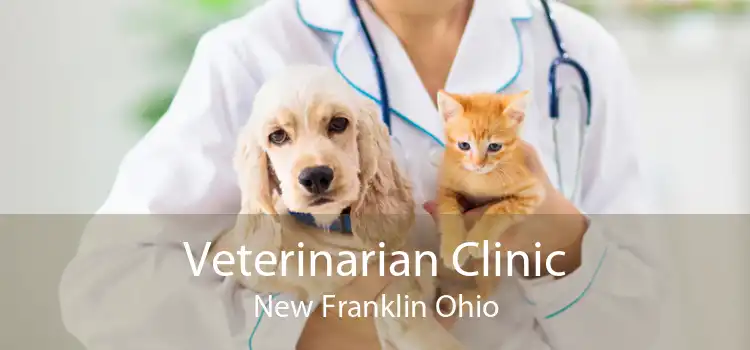 Veterinarian Clinic New Franklin Ohio