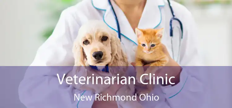 Veterinarian Clinic New Richmond Ohio