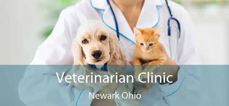 Veterinarian Clinic Newark Ohio