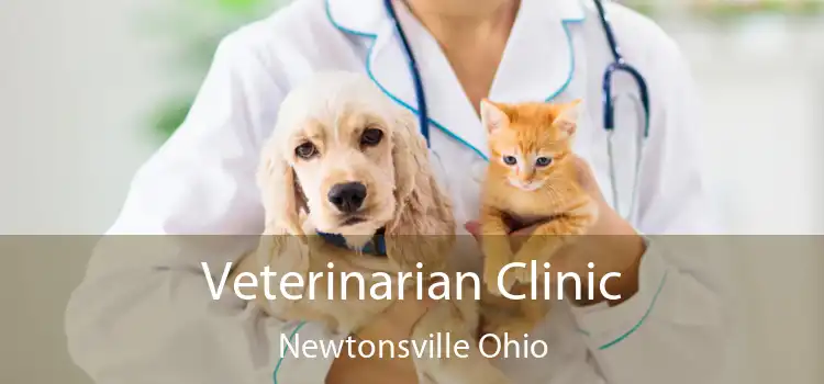 Veterinarian Clinic Newtonsville Ohio