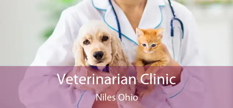 Veterinarian Clinic Niles Ohio