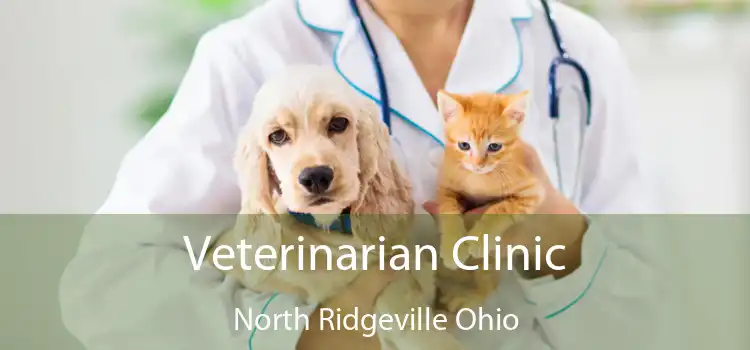 Veterinarian Clinic North Ridgeville Ohio