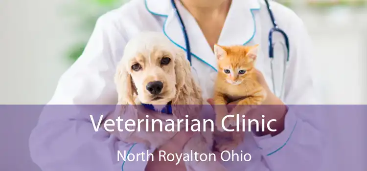 Veterinarian Clinic North Royalton Ohio